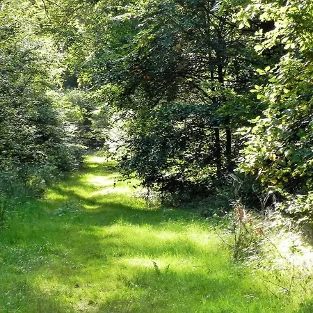 Nice In Goehrde דירה